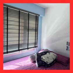 Blk 50 Commonwealth 10 (Queenstown), HDB 4 Rooms #488170281